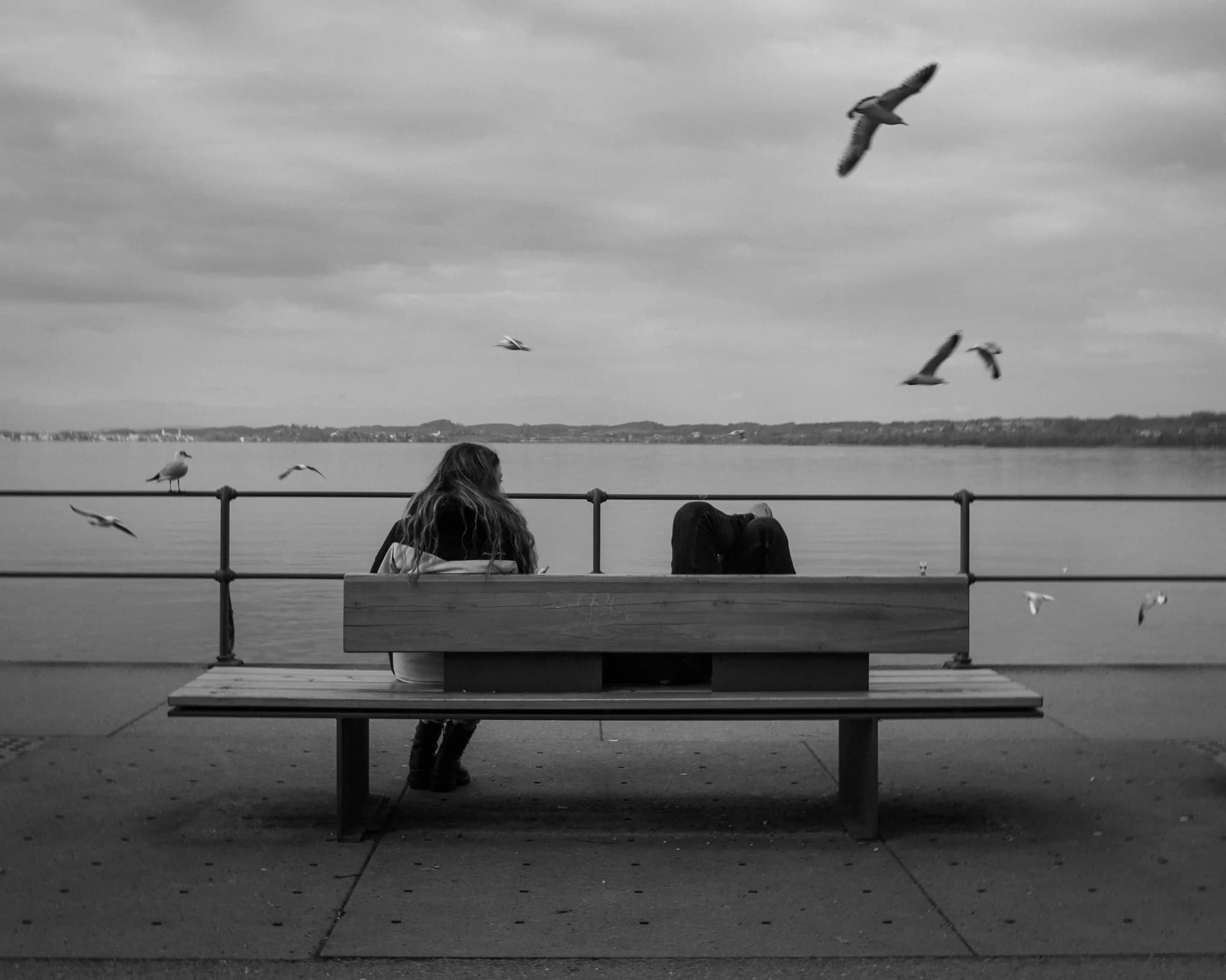 street, frame 11